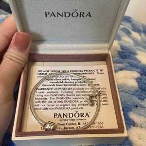 Brand new never worn Pandora bracelet.